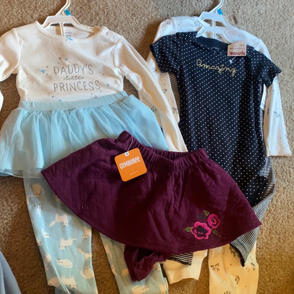 NWT girls clothes 24 months